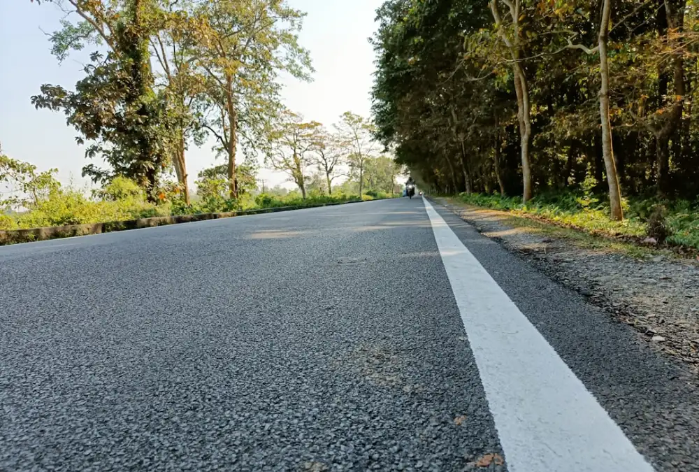 a car driving down a road next to a forest