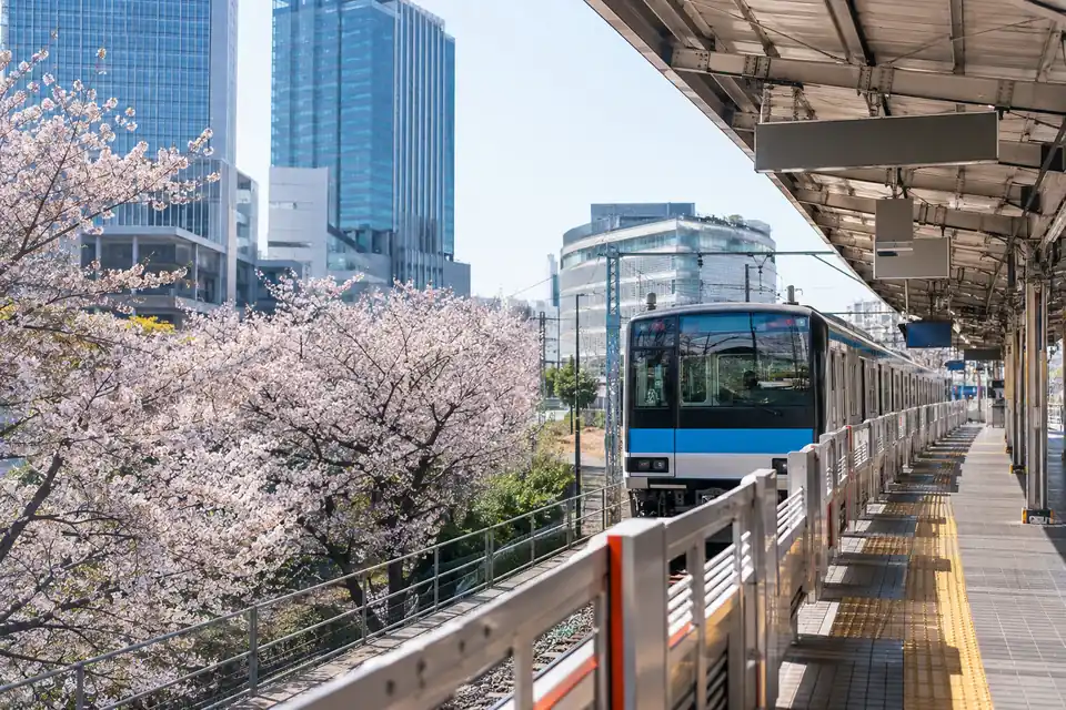 Modern Japanese train platform with cherry blossoms