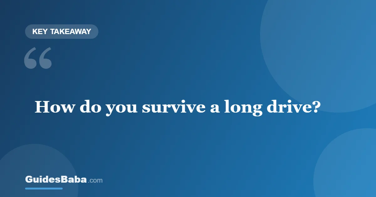 Long Drive Tips: How to Survive a Long Drive Safely — GuidesBaba