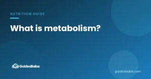 What is metabolism?