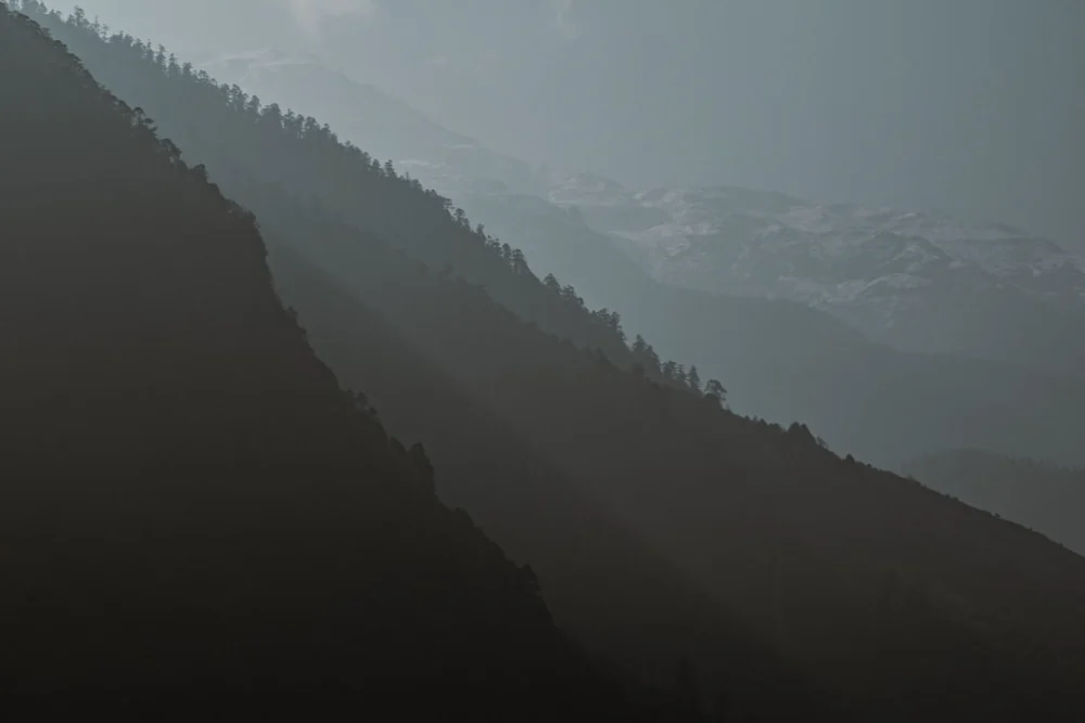 Misty mountain slopes with evergreen trees