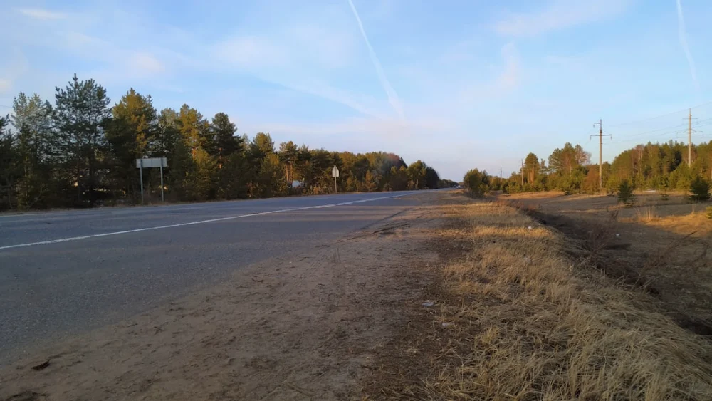 an empty road in the middle of a wooded area