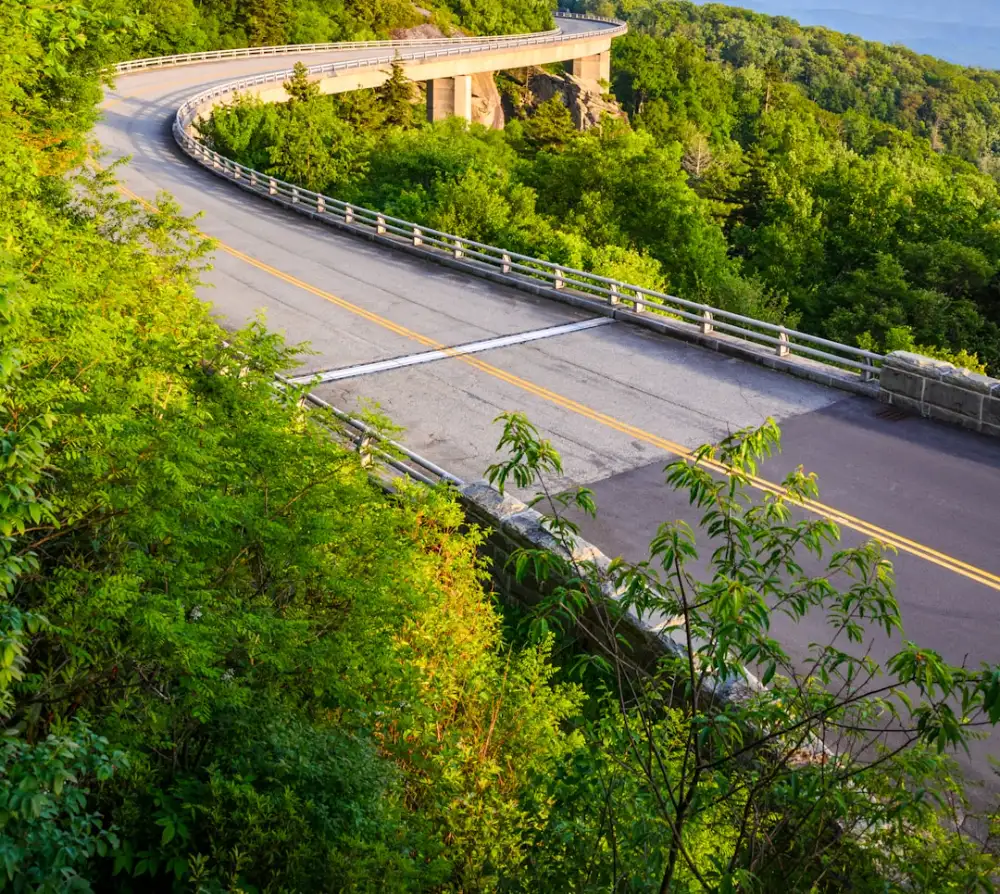 A scenic view of a road surrounded by trees
