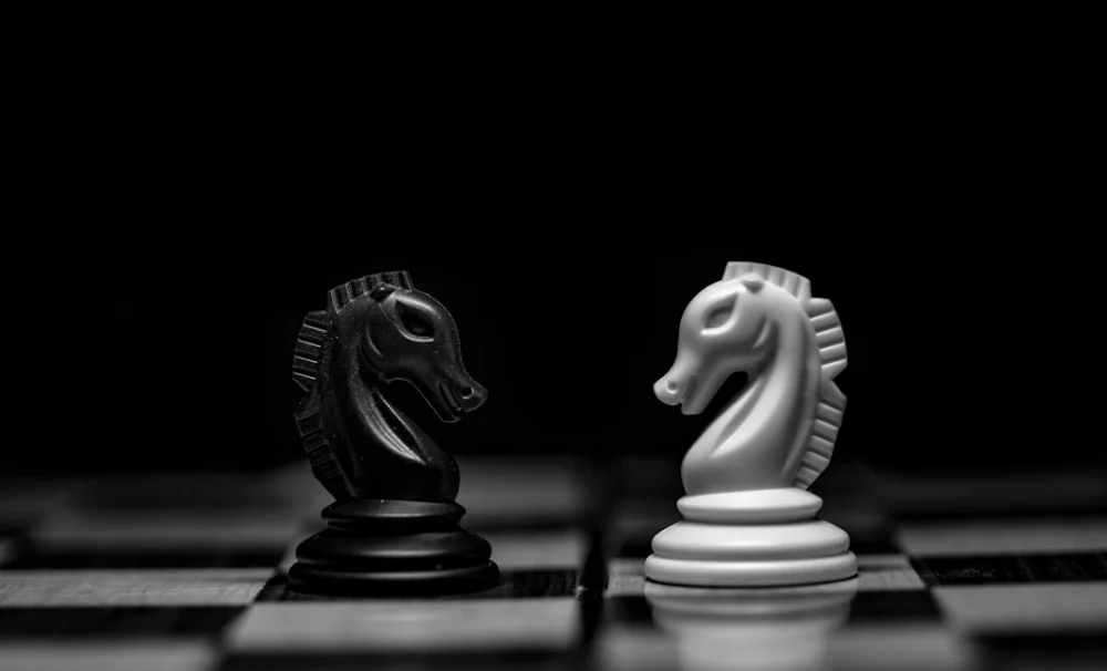 A black and a white chess knight facing each other on a board