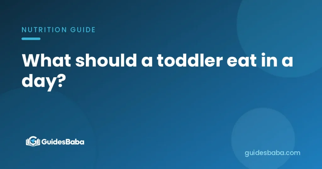 What should a toddler eat in a day?