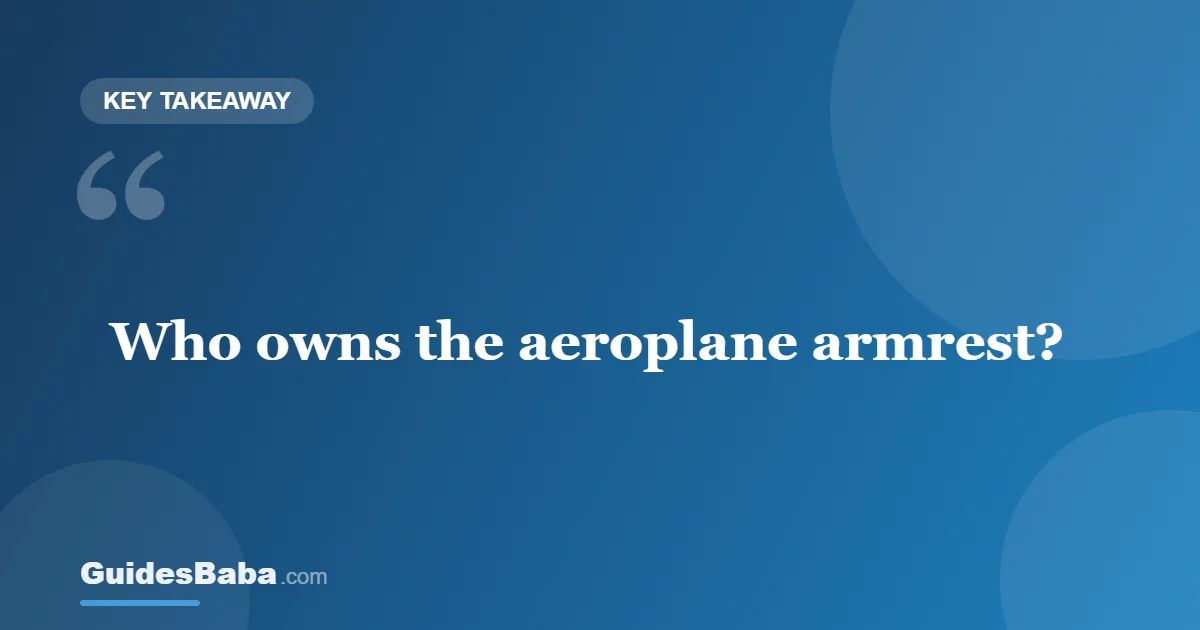 Who owns the armrest on the aeroplane? — GuidesBaba