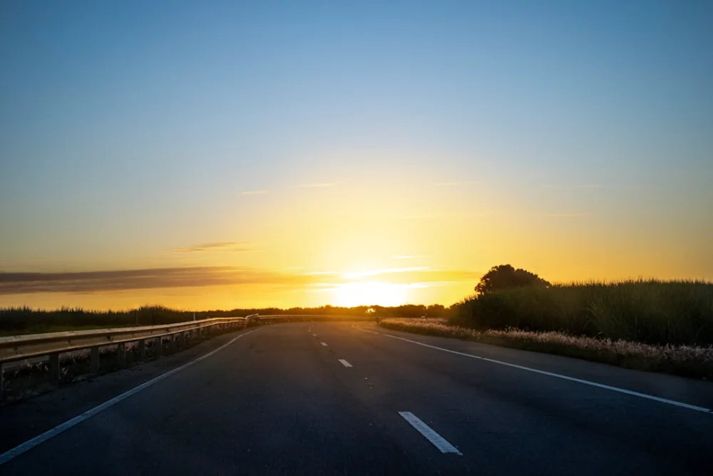 a road with grass on the side